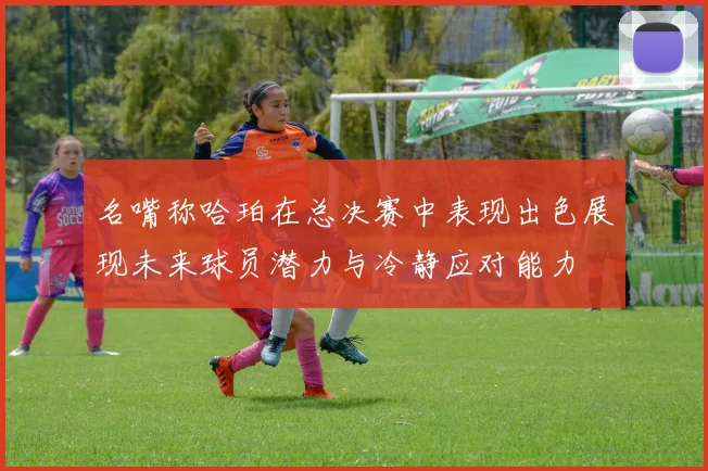 名嘴称哈珀在总决赛中表现出色展现未来球员潜力与冷静应对能力