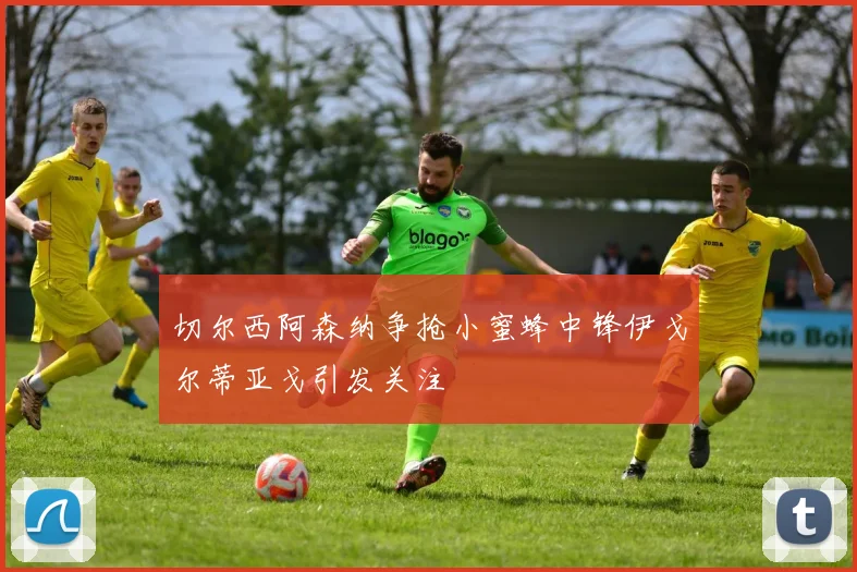 切尔西阿森纳争抢小蜜蜂中锋伊戈尔蒂亚戈引发关注